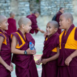 Young Monks